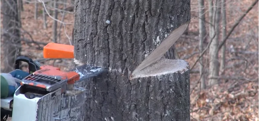 High Quality Cutting Tree Felled Spiked Tree Plastic ABS Felling Wedges