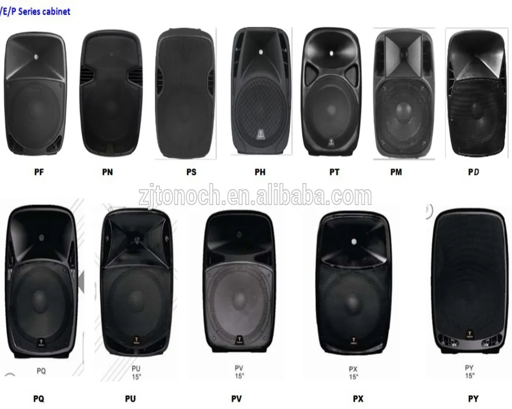 TONOCH 12 inch E series economical portable professional PA speaker