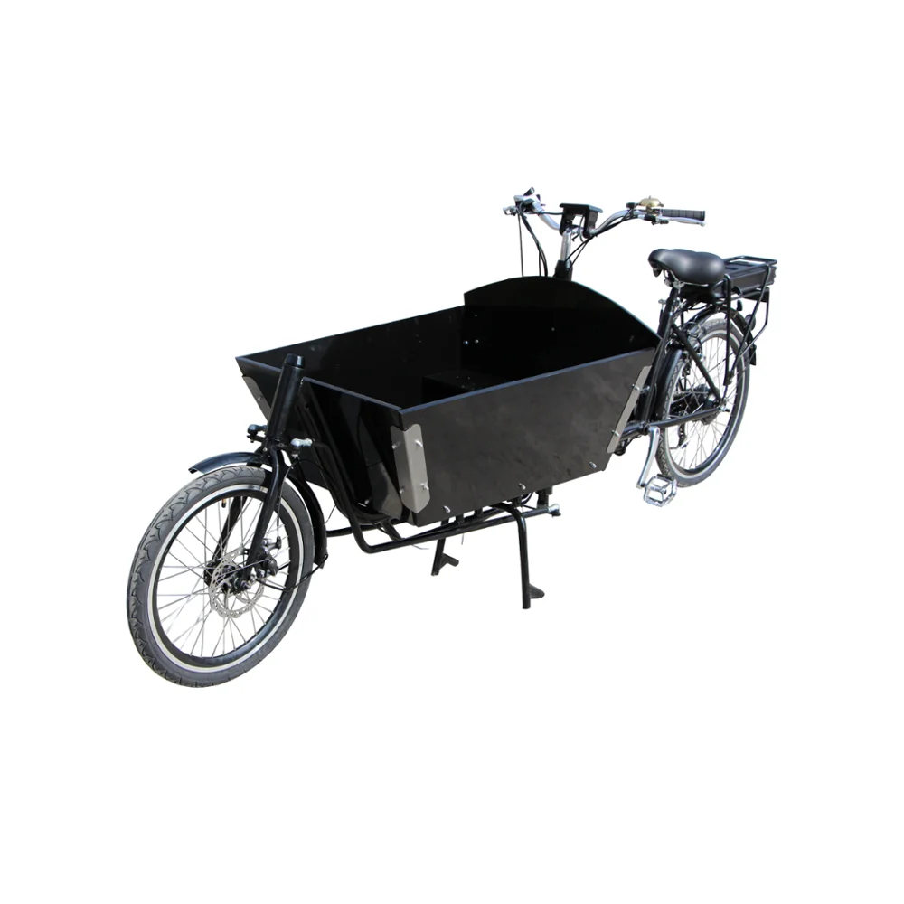 Китайский Электрический велосипед, одобренный CE, грузовой велосипед с 2 колесами