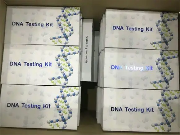 Multifunctional Genetic Dna Dog Elisa Test Kit For Wholesales