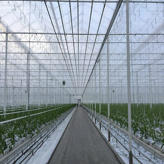 Lanyu Intelligent vegetable glass greenhouse and hydroponic growth system