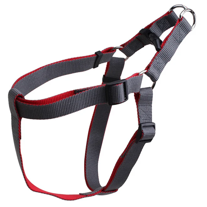 Custom print logo dog collar leash harness set with name plate