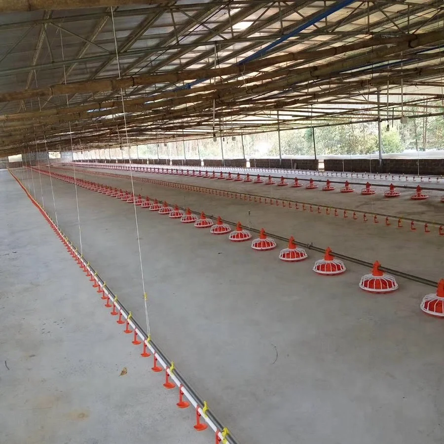 
Automatic Broiler floor feeding drinking system 