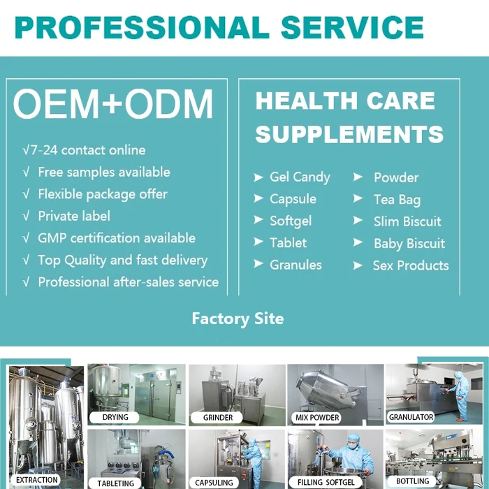 
Delicate Halal Digestive Biscuit High Quality Buckwheat Slimming Foods Cookies Bulk Price 