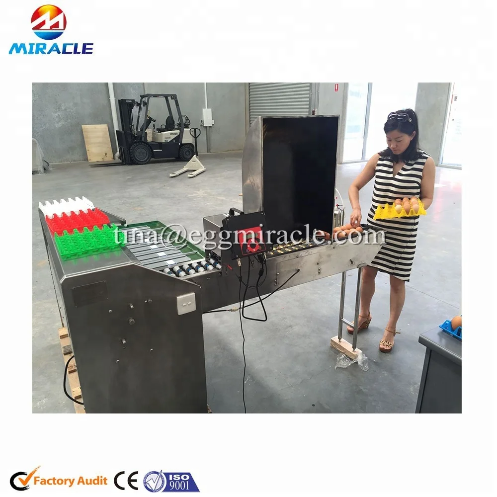 High quality egg grading machine, egg weight grader, egg grading by weight equipment