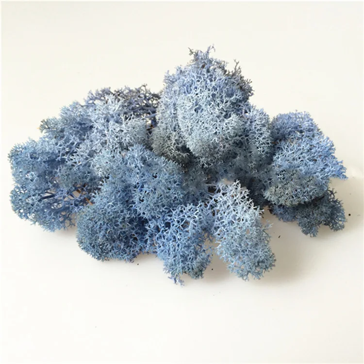 HFloral Company decoration background wall supermoss preserved moss bulk Hotel decor Natural preserved reindeer moss