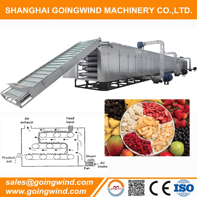 Automatic dried fruit chips production line auto dry fruits making machine drying plant equipment cheap price for sale (60681139524)