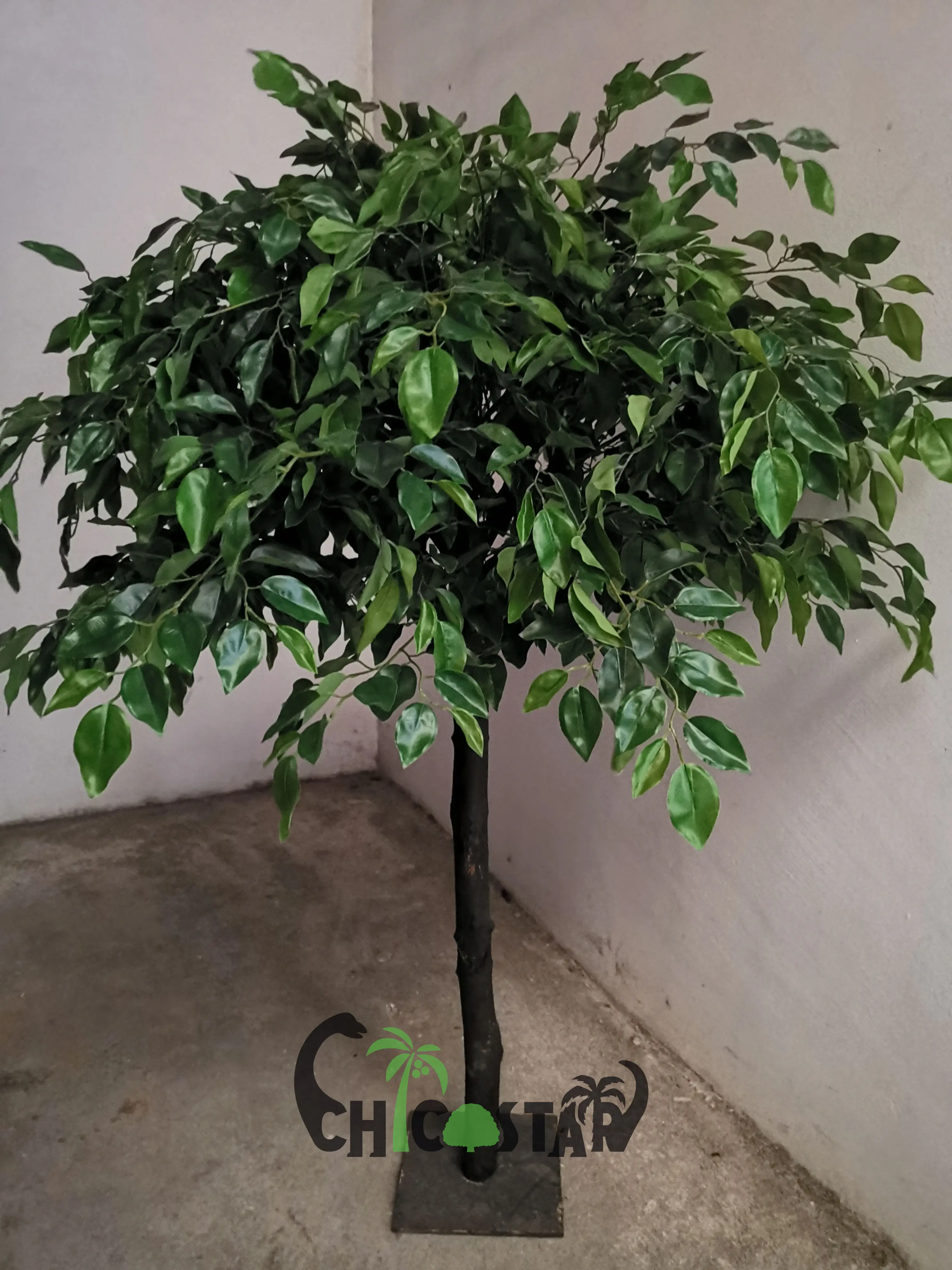 Wholesale indoor wooden artificial mini banyan tree for home decoration