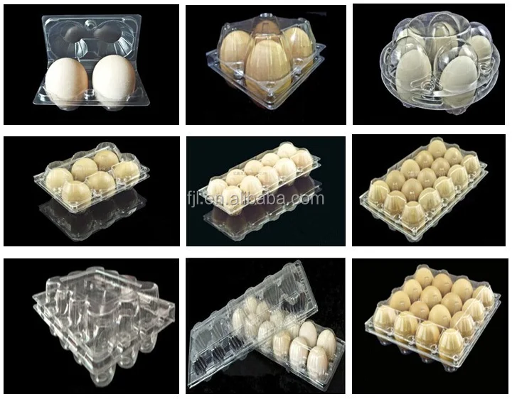 FJL-700/1200ZK-B Plastic Egg Tray Vacuum Machine,Vacuum Forming Machine,Vacuum Packing Machine