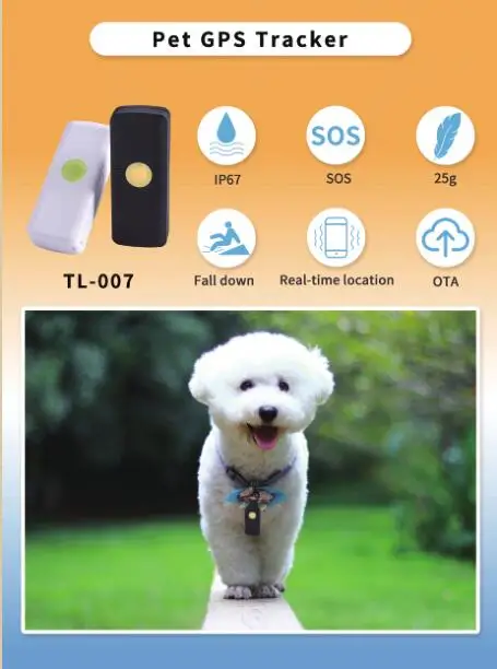 Pigeon GPS tracking device long standby time cradle charging pet gps