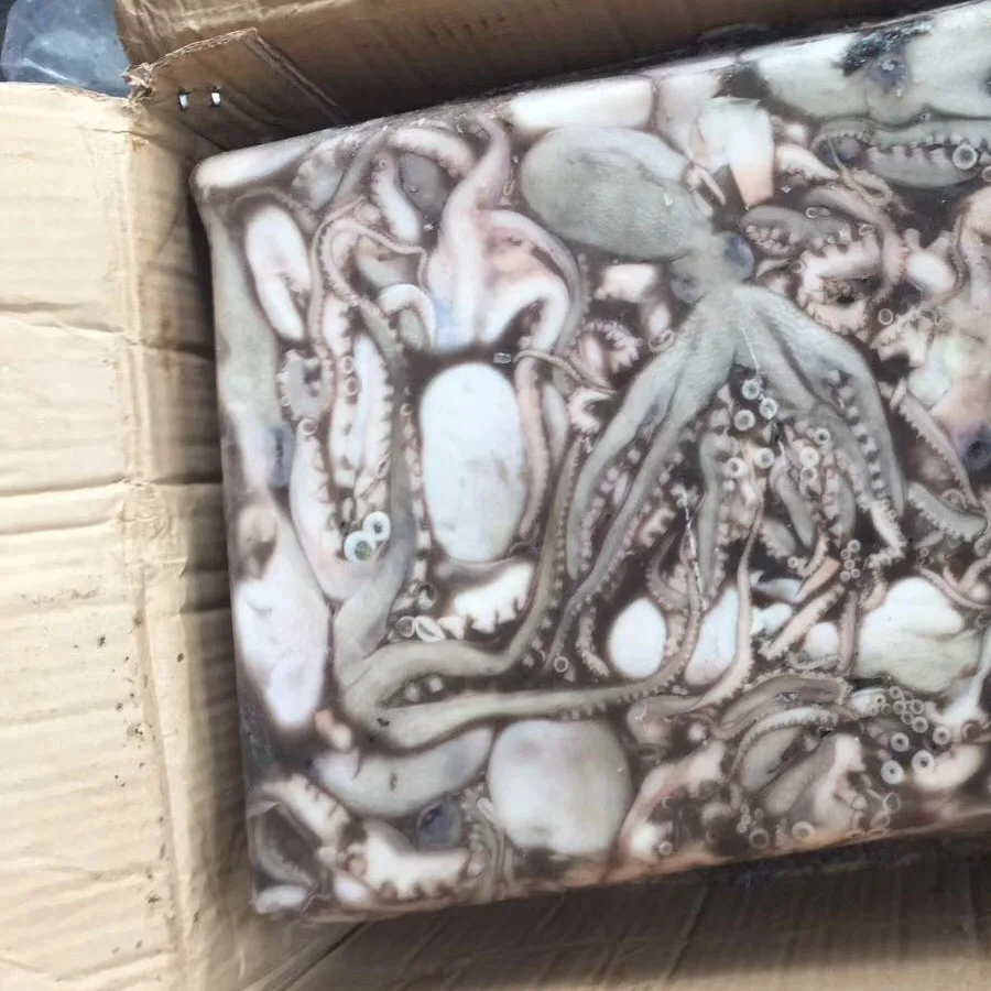 Fresh cleaned frozen octopus ,short leg all size