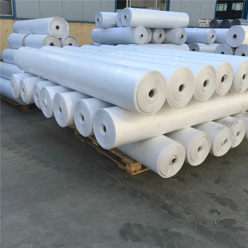 China Manufacturer All Kinds Waterproof Heavy Duty Tarp Canvas PE Tarpaulin Roll (60831123055)