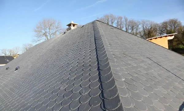 Unique 40*20 cm Eco-friendly Natural Fish Scale Black Slate Roof Tiles For Decoration