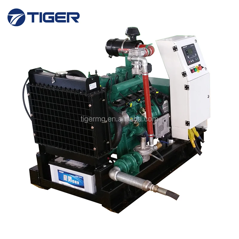 Home Use Small Power Convenient Operation 10KVA Lpg Generator