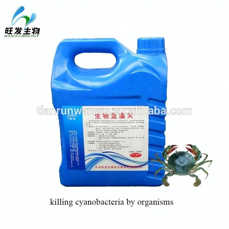 promotional aquaculture probiotics products for water purification