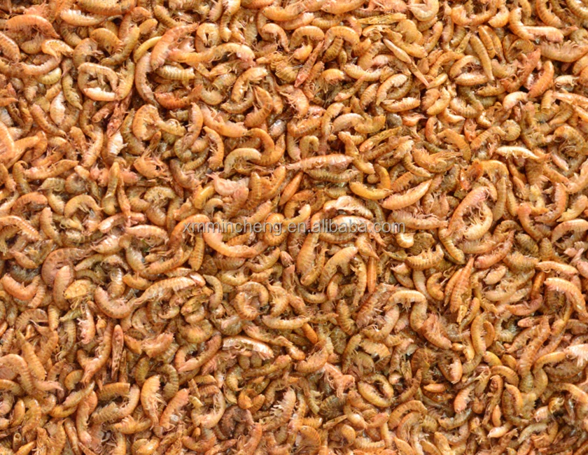 Сушеные гаммарус