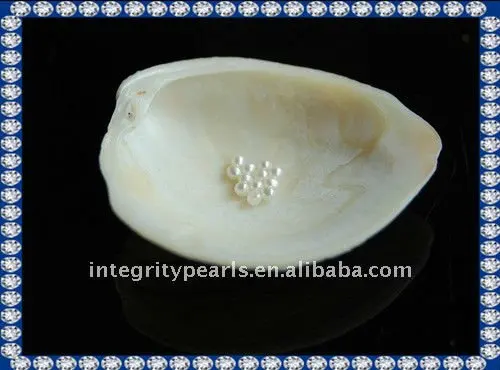 
round 1-1.3mm freshwater natural very tiny small loose pearls 