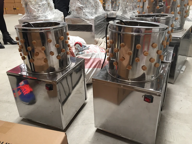 factory directly price ZH-30quail plucker machine,poultry plucker equipment,chicken plucker (lydia: +8615965977837)