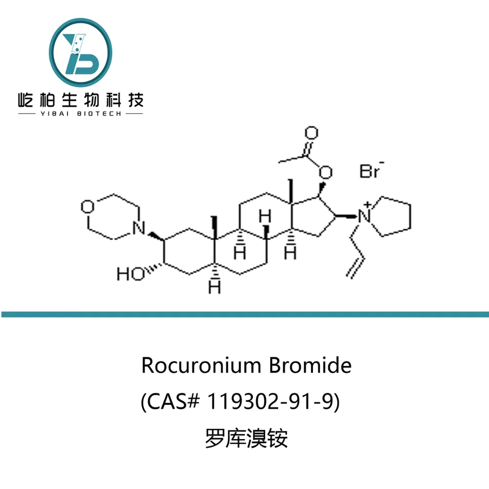 
Affordable High Purity Powder 119302-91-9 Rocuronium Bromide 