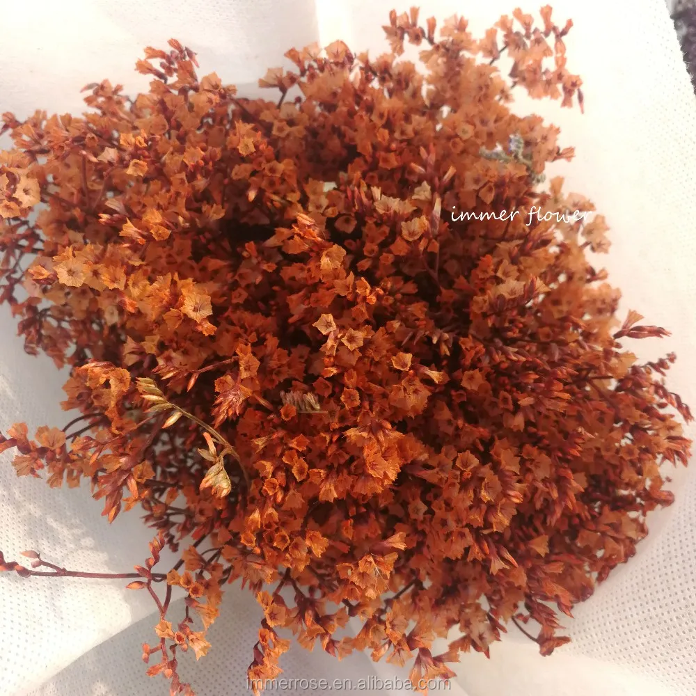 
Preserved Flower Crystal Grass Bouquet Dry Flower Cheap Wholesale 