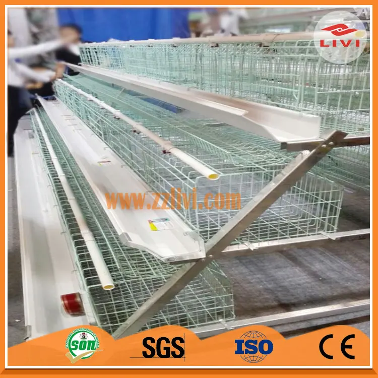 Layer cage design for Kenya poultry farm