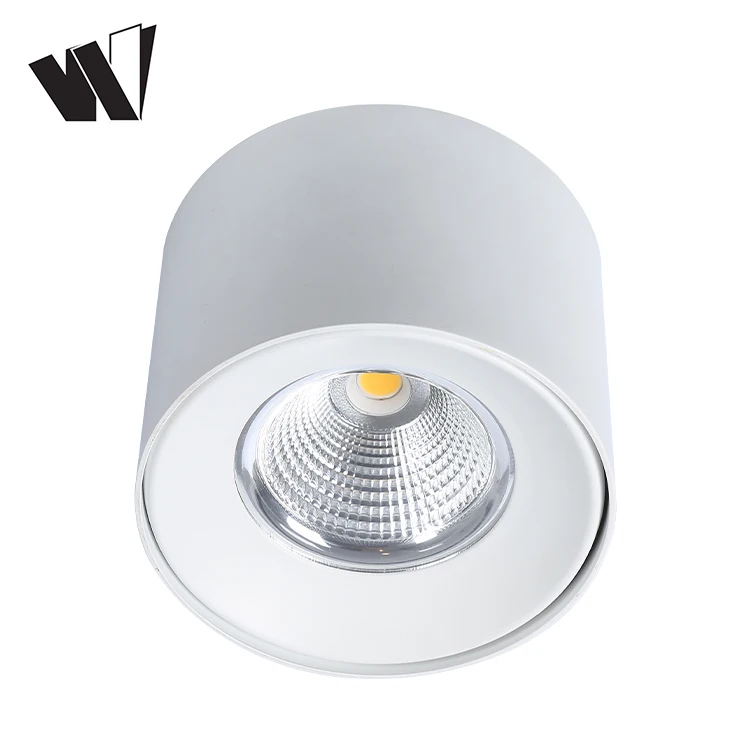 Manufacturer cheap 240 volt ceiling lighting for hotelr COB 6w 9w 12w 15w 20w 24w 30w 36w led ceiling lamp