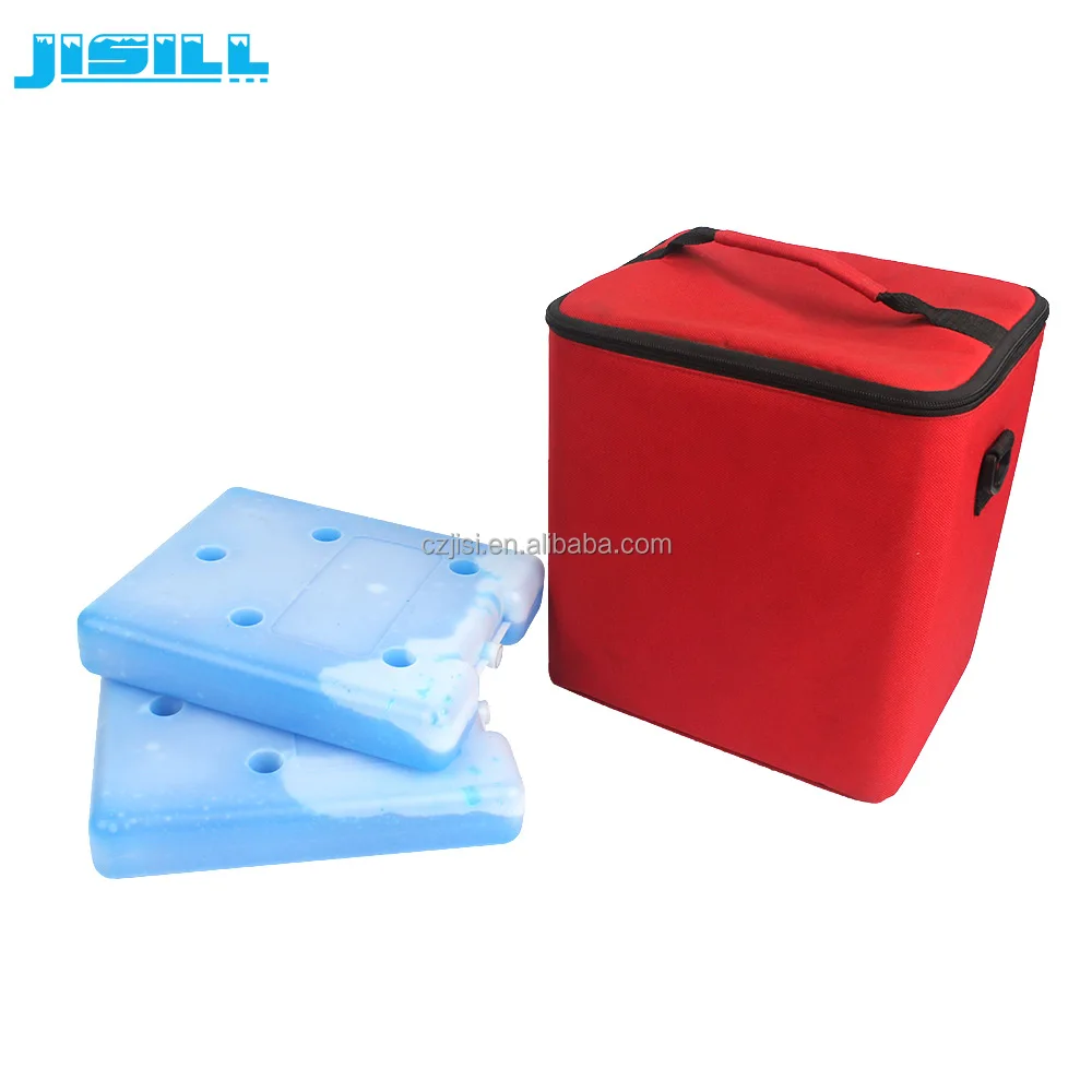 Customizable HDPE Insulated PE Material Reusable Food-Safe Thermal Ice Pack for Cold Storage MSDS Approved & Friendly