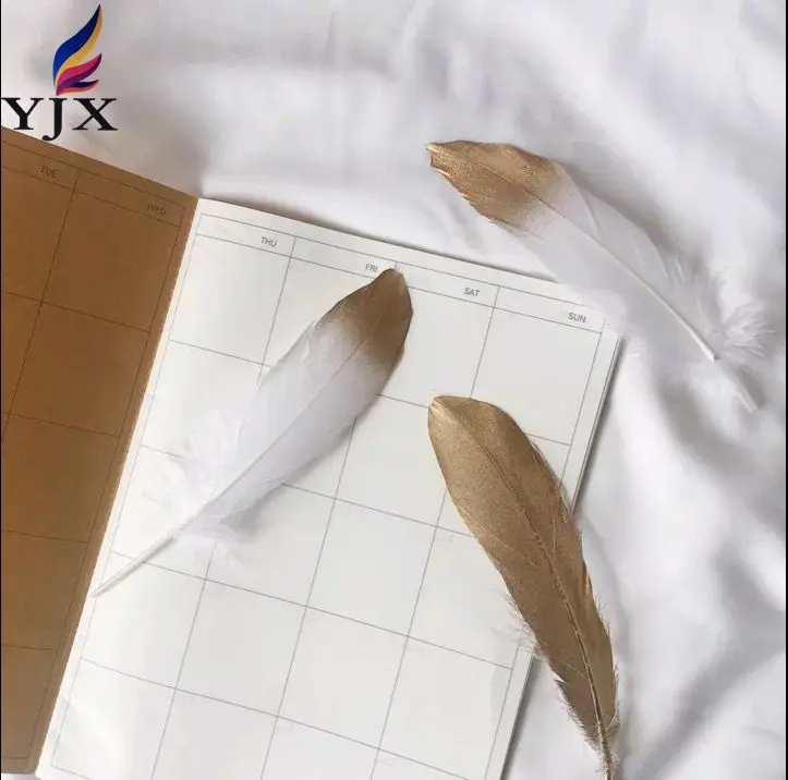 Factory Wholesale New Design DIY Gold Painted Goose Feather rooster tail