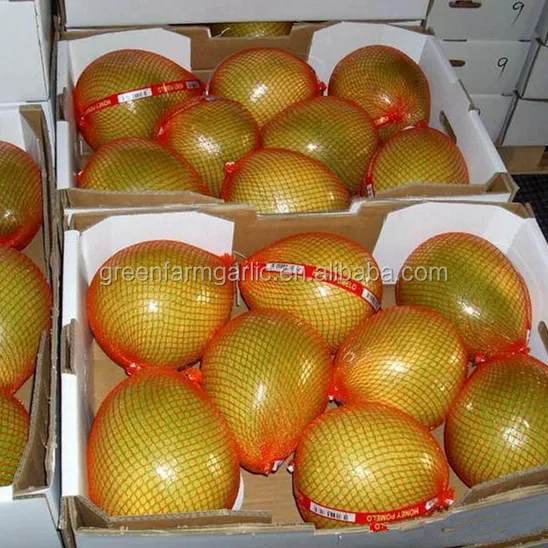 Chinese new honey pomelo