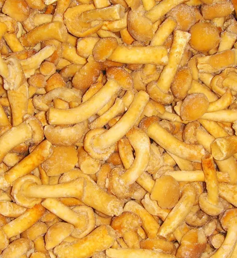 
Buyers for Detan Frozen Nameko Mushrooms 