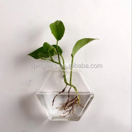 Pyrex Glass Material Unique Home Decoration Hydroponics Vase Fish Tank Wall Mounted Glass Vase