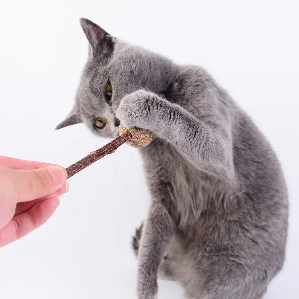 CAT Chew Matatabi Stick Toy silvervine Catnip Cute Lollipop Shape Catnip For Cat Tooth Matatabli Cleaning Molar Toy