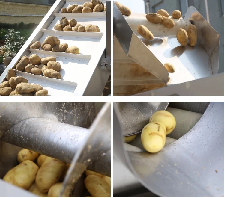 
French Fries Production Line Frozen Potato <strong><span style=