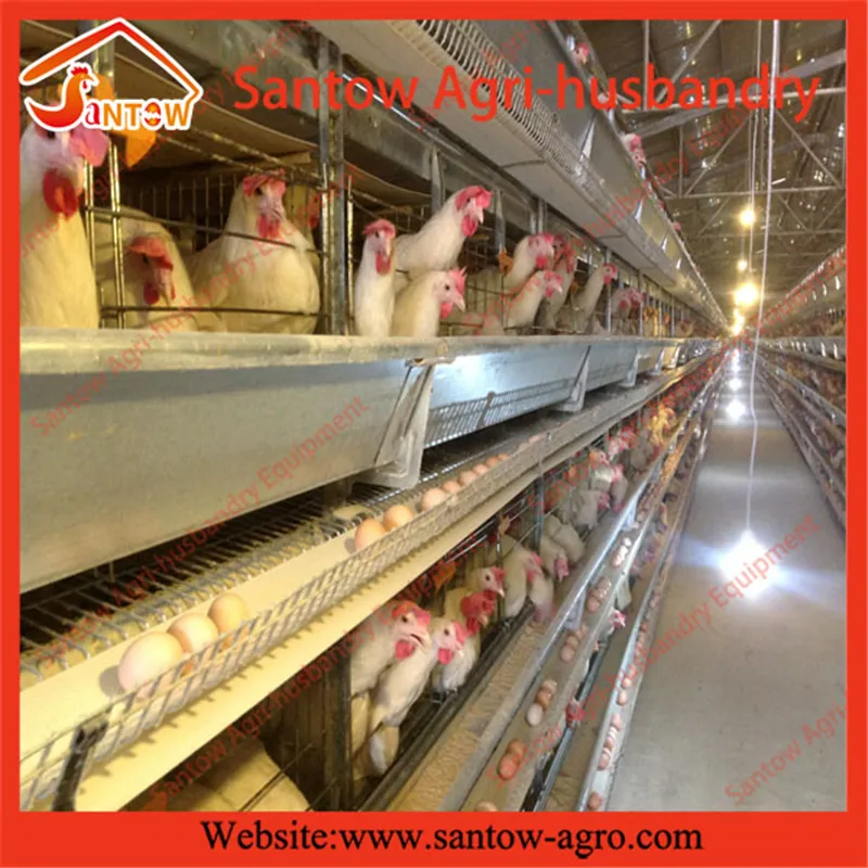 prefabricated chicken coop hen house for sale / metal wire mesh laying hen houses Vertical H-Type Frame
