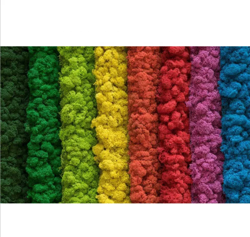 wholesale hot sale preserved dried sheet moss stabilized