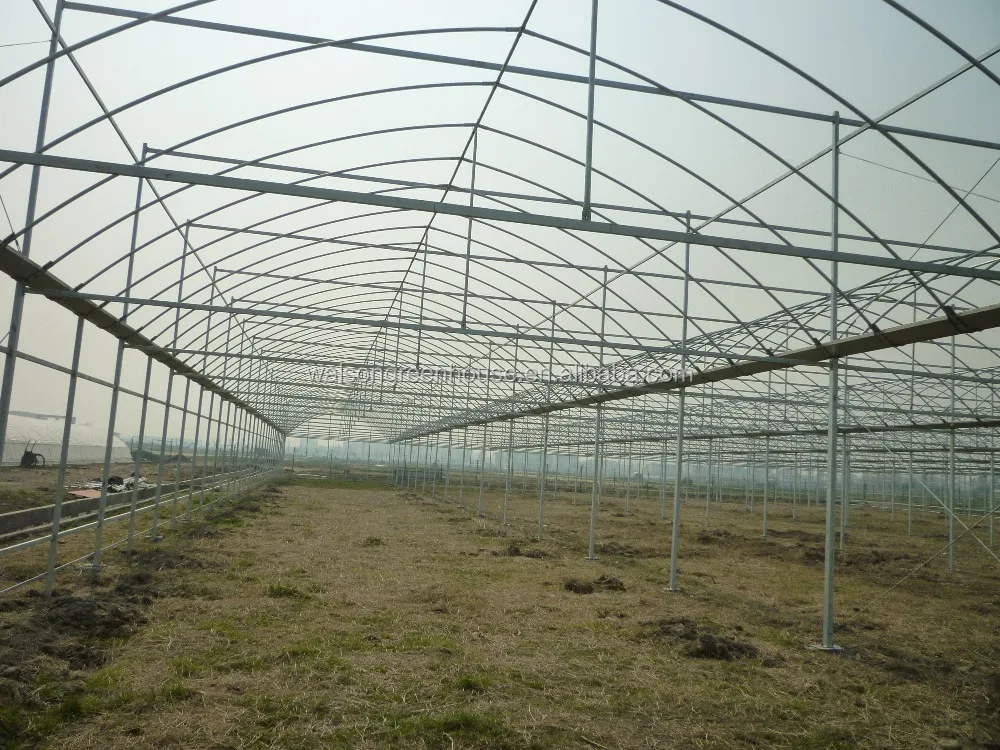 Single Span Reinforced Plastic Film Tunnel Greenhouse for Horticultural Farming