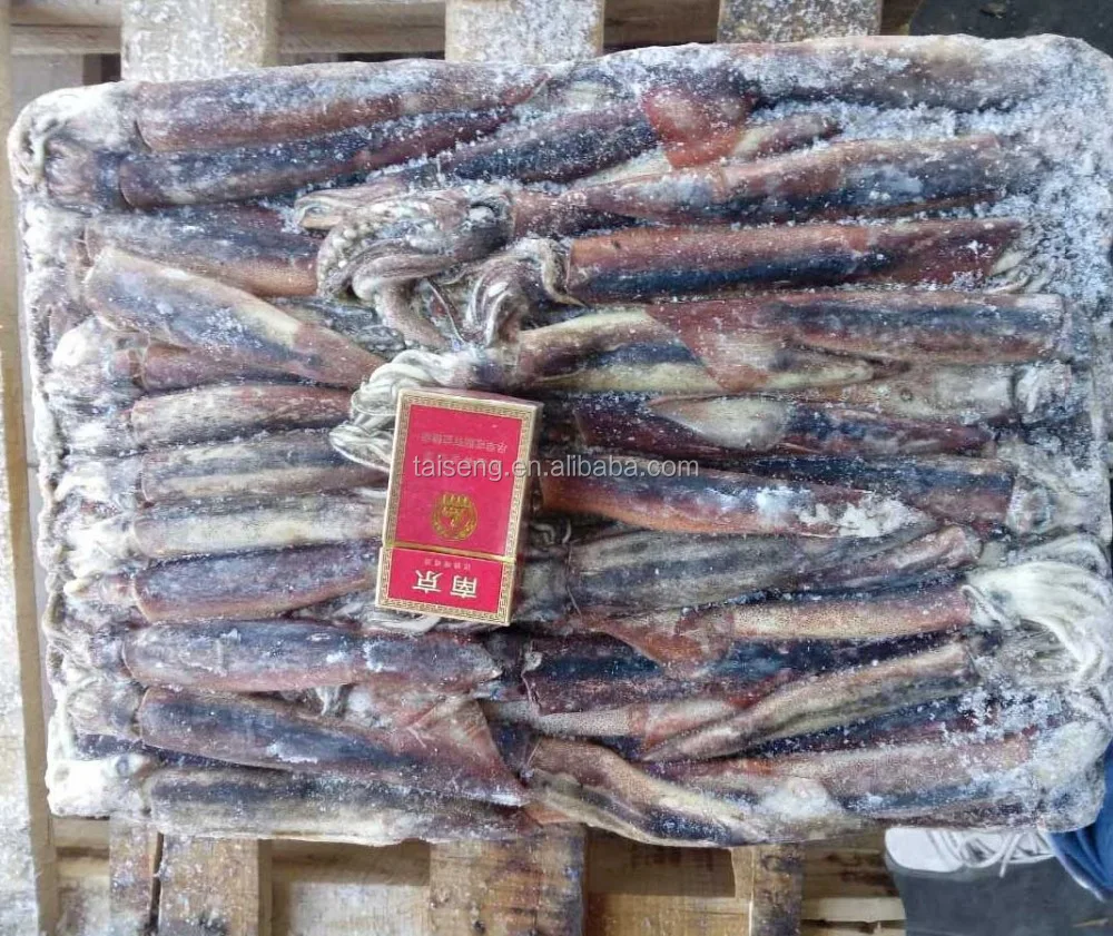 Frozen Illex Squid Under 100g
