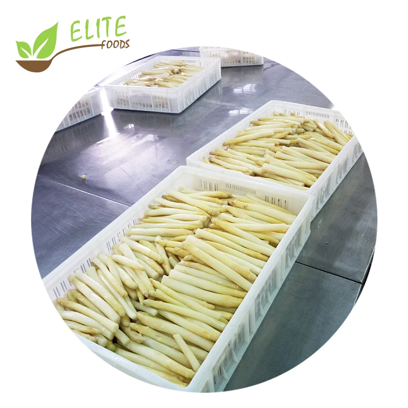 Frozen White Asparagus Organic IQF White Asparagus Cuts with good price