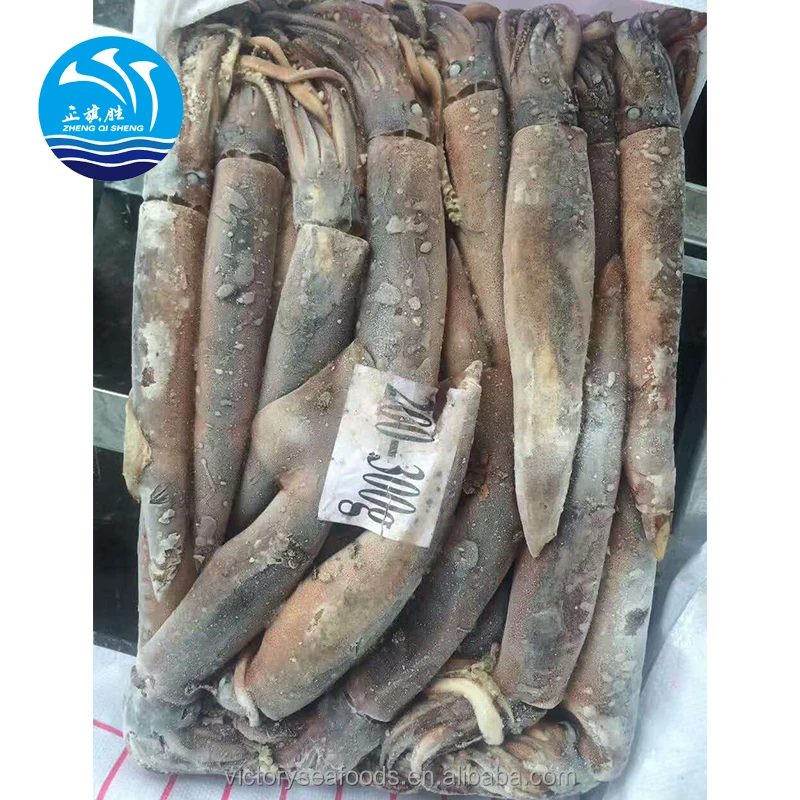 Frozen Argentina Illex Squid Whole Round