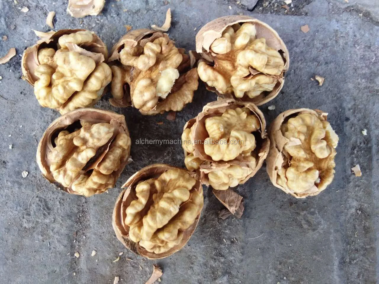 India Walnut In Shell and Ukraine Walnut Kernel Wholesale Price
