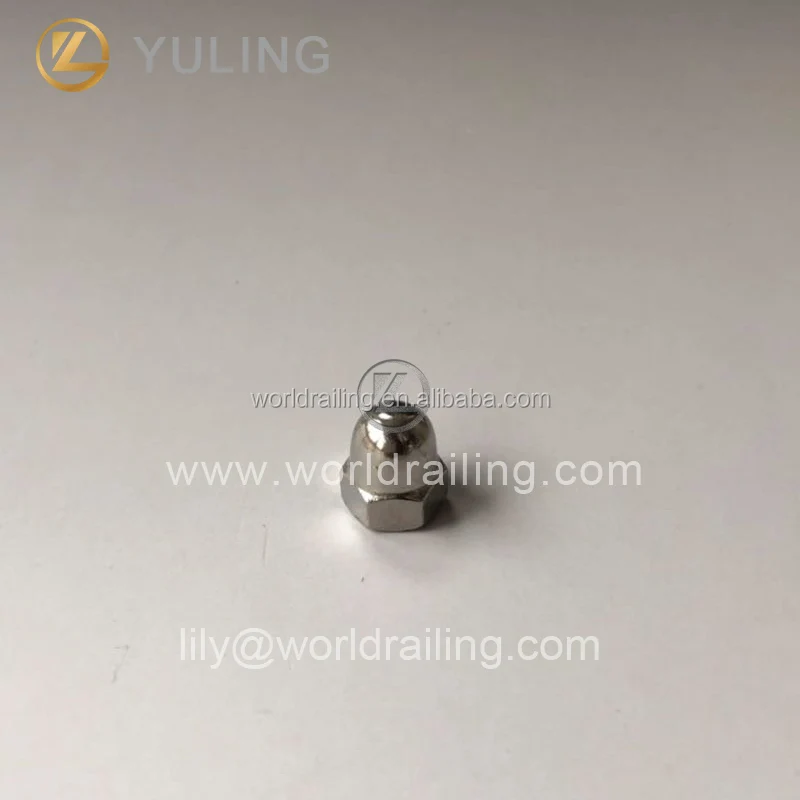 YL Stainless 316 304 Bolt expansion screw