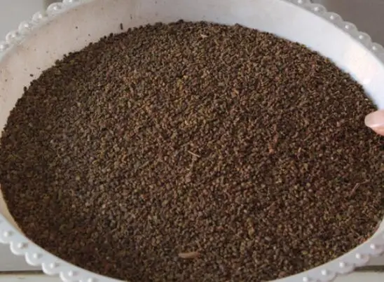 Natural pure animal feeding grass red purple flowers Medicago sativa seeds