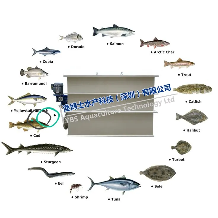 Automatic water level control backwash landbased RAS  drum filter
