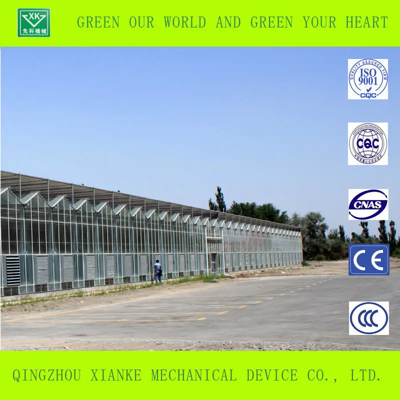 Multi-span greenhouse frame greenhouse glass agriculture greenhouse hot sale