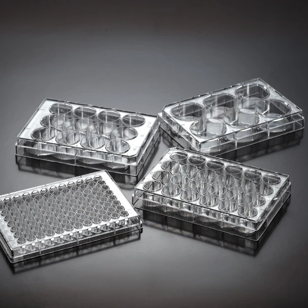 Одноразовые тарелки для клеточных культур стерильные