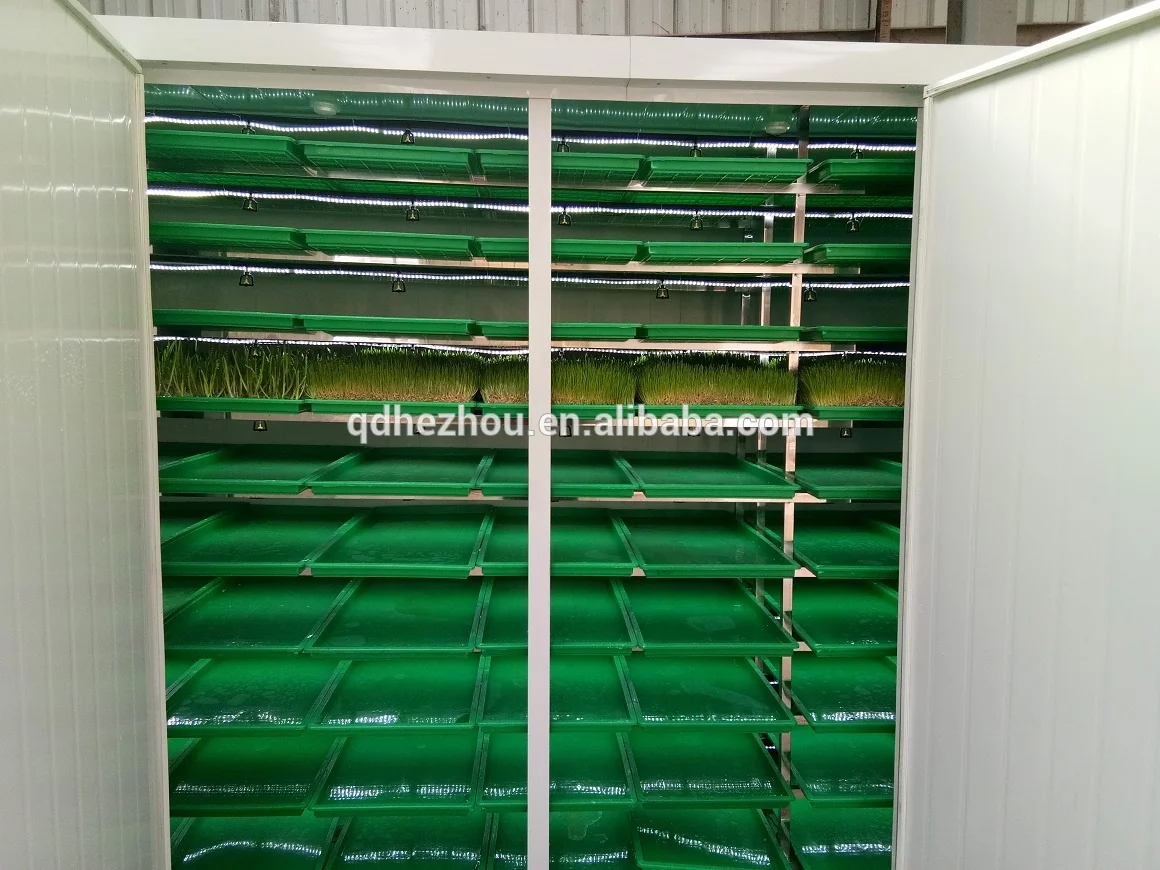 Automatic Hydroponic System Machine Mung Bean Sprout Container For Bean Sprout