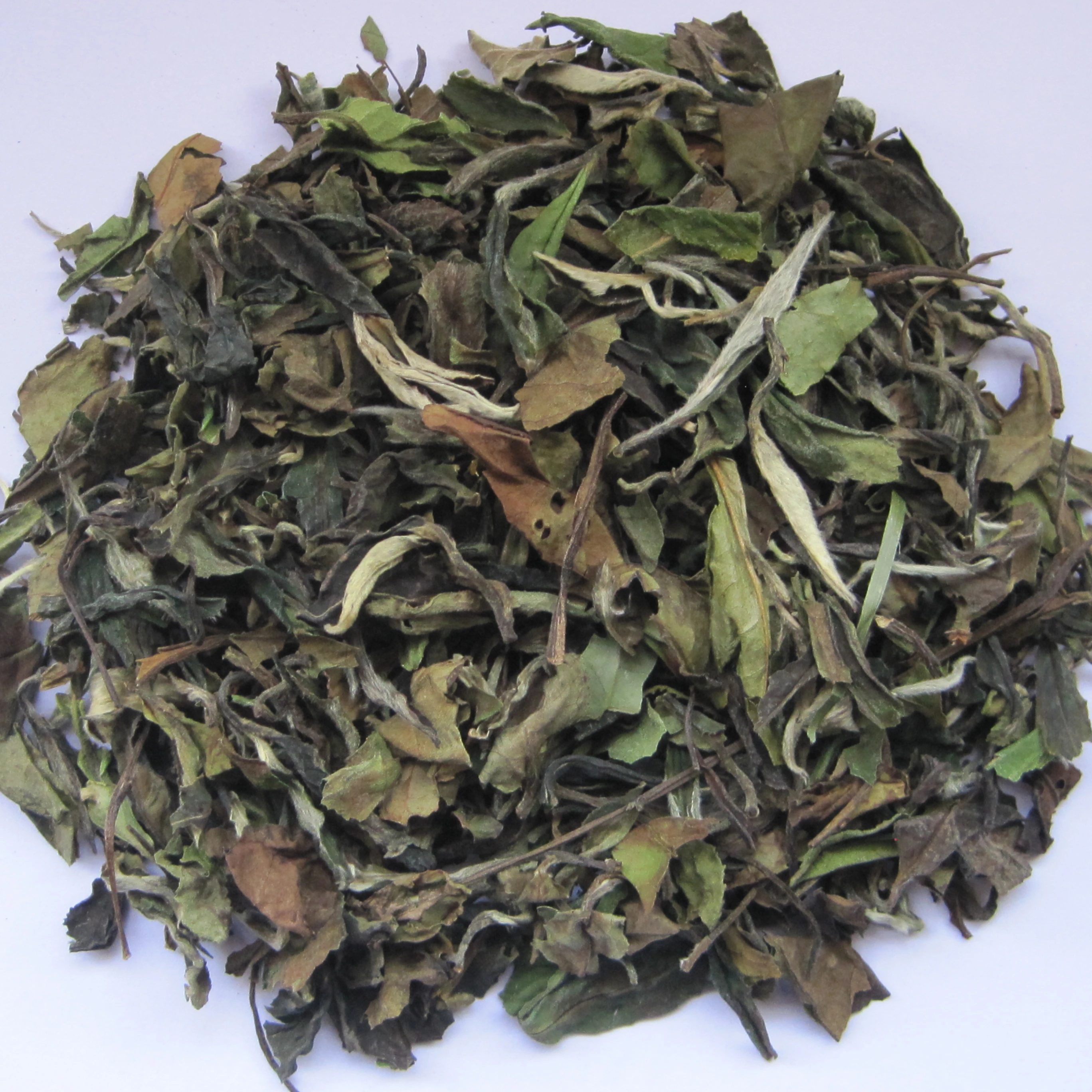 Chinese Eu compliant White tea price fujian White Peony tea