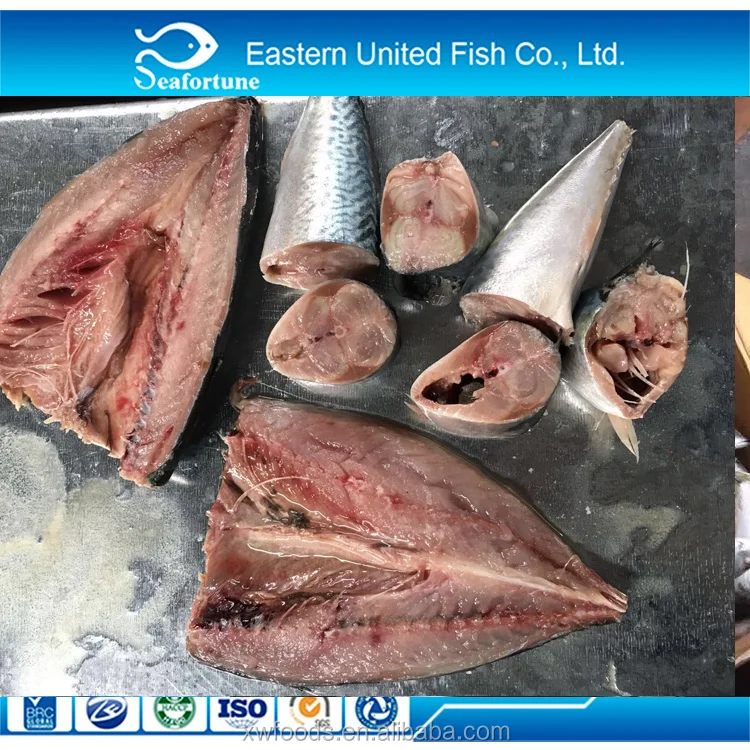 Russia and Europe approved plant seafrozen BQF pacific mackerel