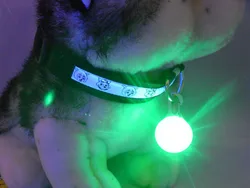 2019 Fashion Colorful Safety Clip-On Led Pet Light