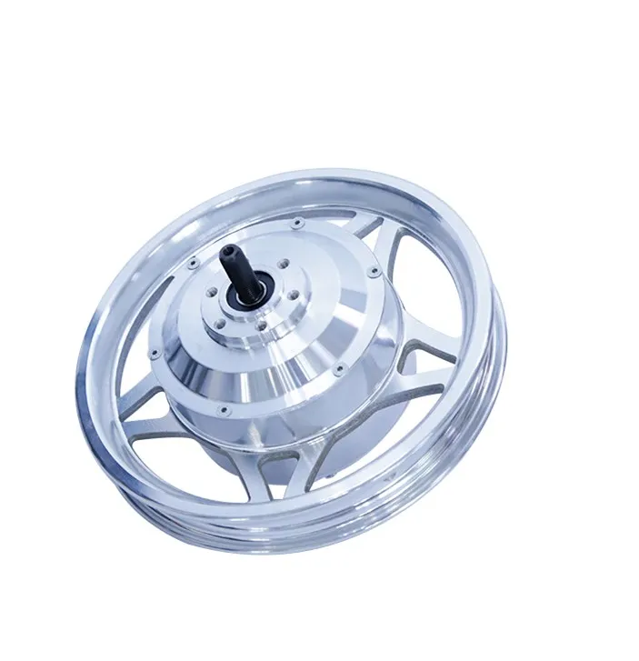 China most popular electric bike scooter rear brushless dc hub motor 12 inch 24v/36v 250w